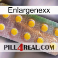 Enlargenexx new11